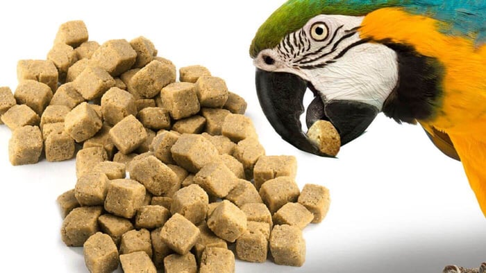 alimentação de papagaio